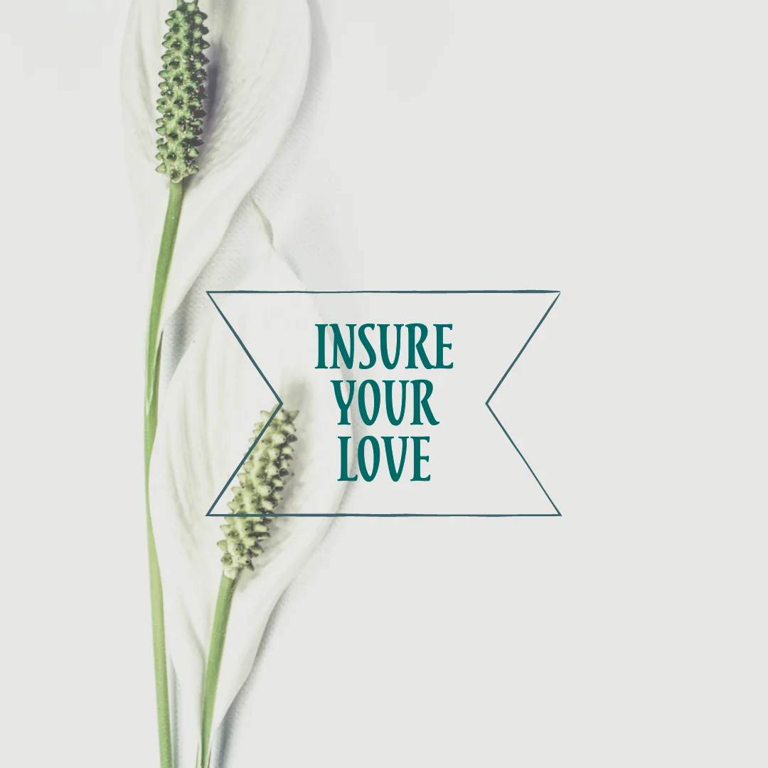 Insure Your Love.jpg
