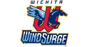 wind surge logo.png