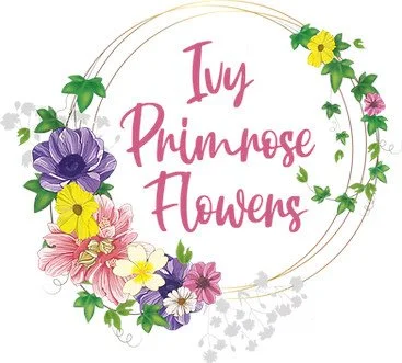 Ivy Primrose Flowers