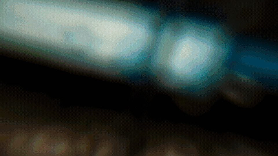 221202_BLIND_FATHER_AND_SON.gif