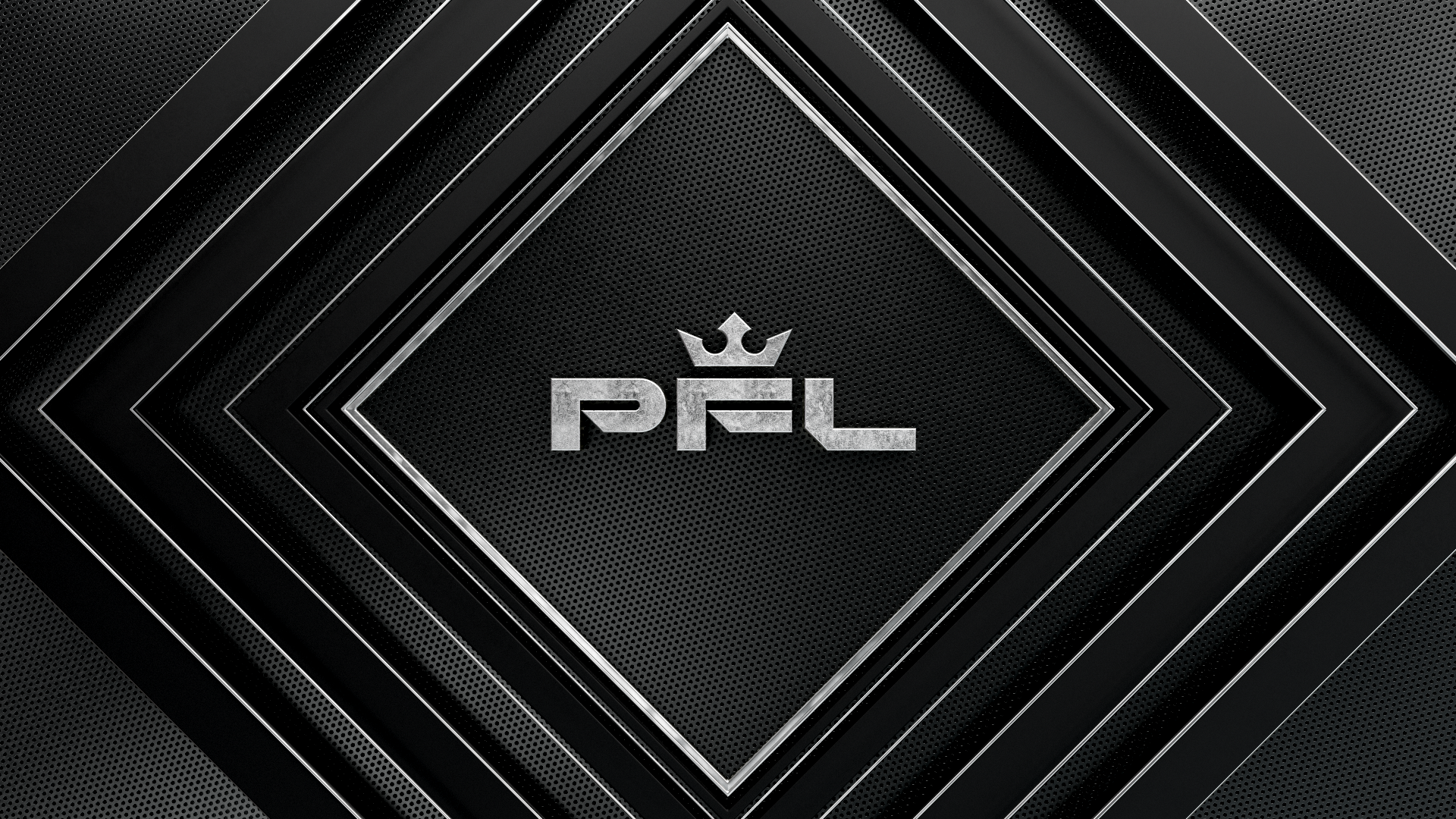 03_PFL-BG_04_v001_Logo-B-S_front1_00000_00000.png