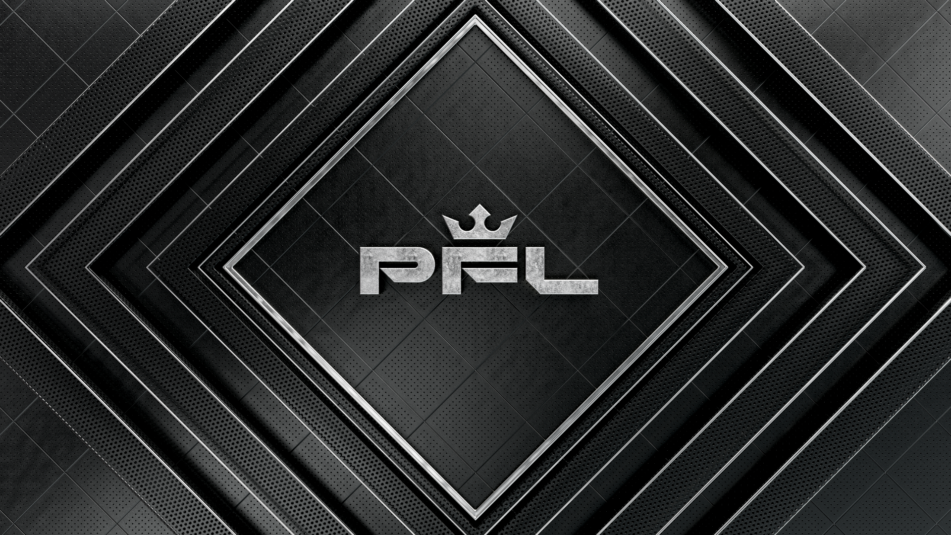 03_PFL-BG_04_v001_Logo-B-S_front2_00000_00000.png