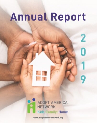 AAN 2019 Annual Report