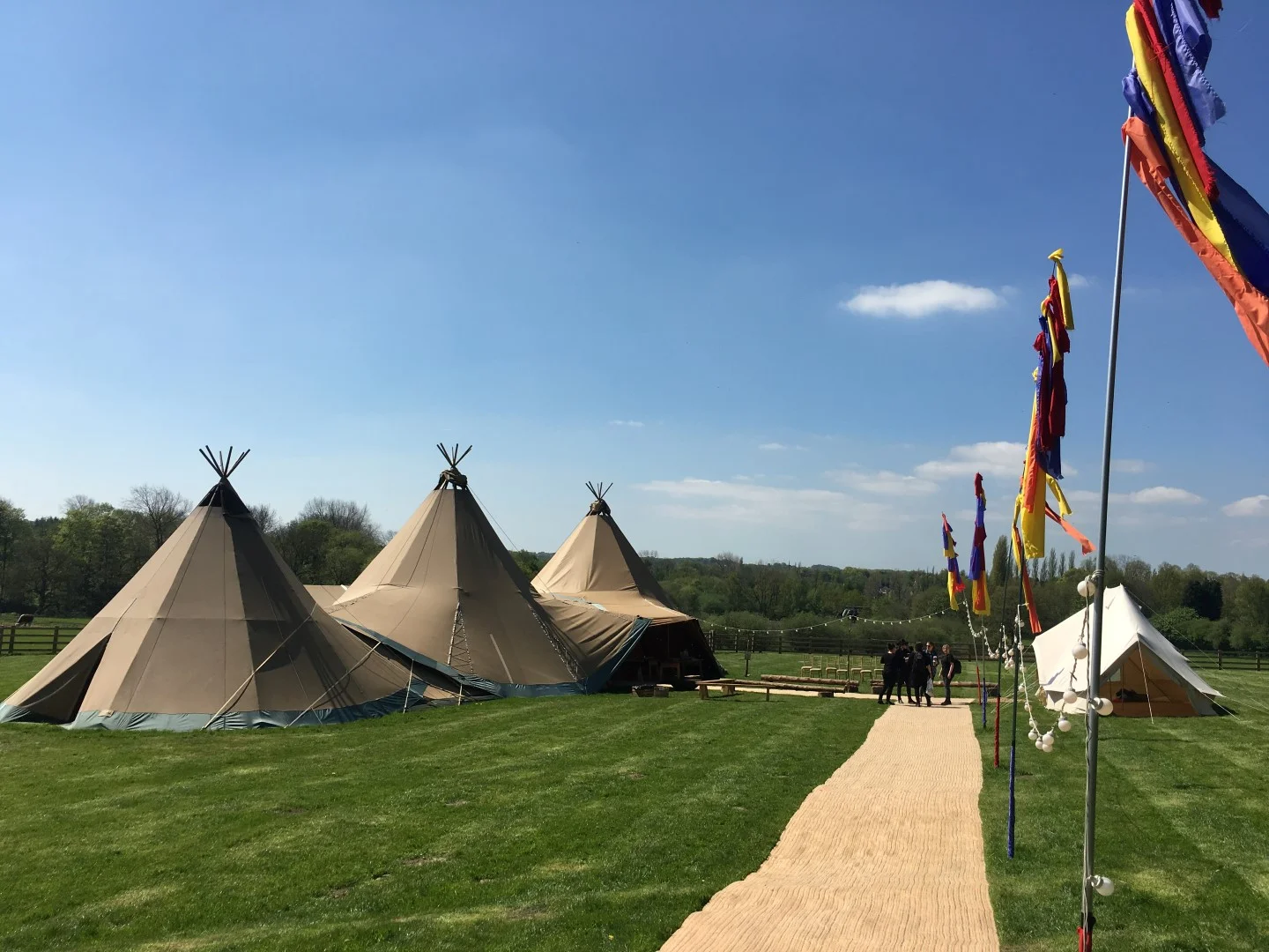 This Green Moon — Swillington Organic