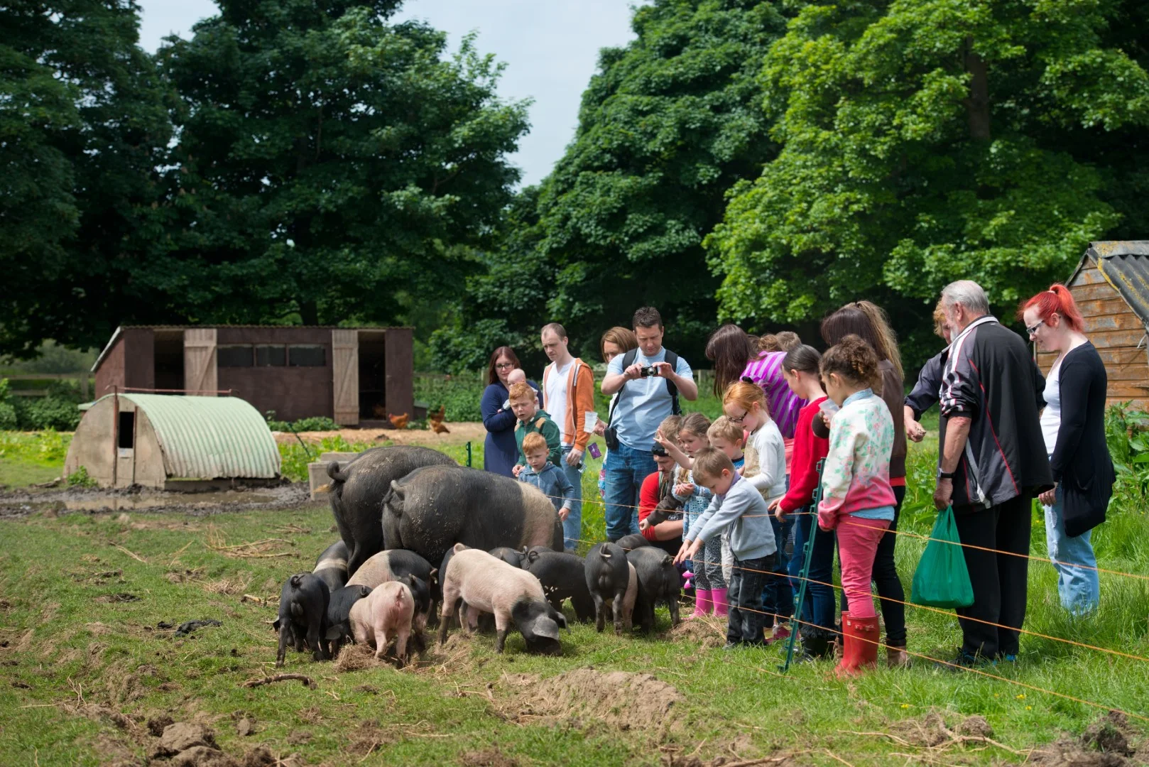 Visit us on the farm — Swillington Organic