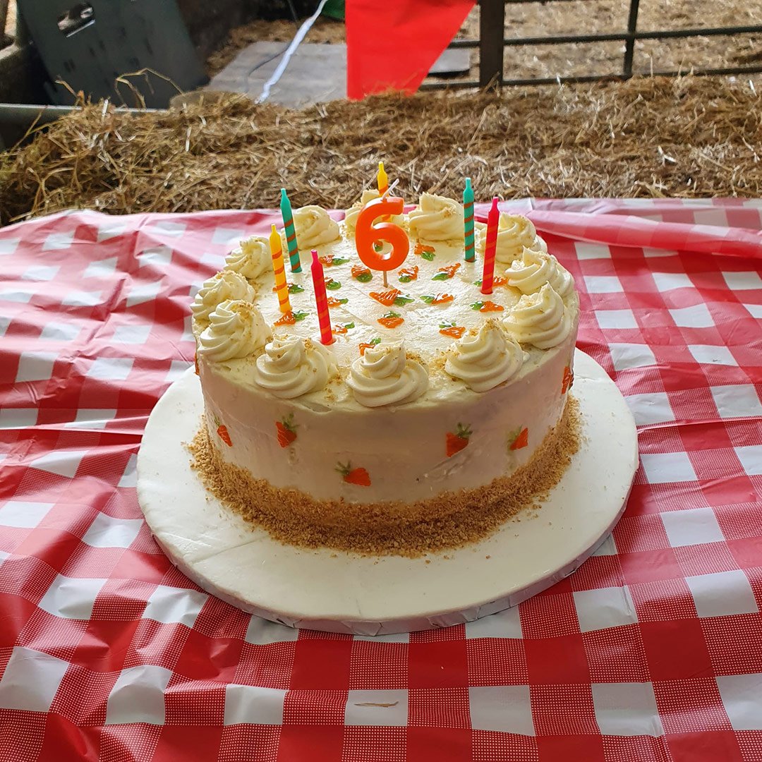 childrens-birthday-parties-leeds-swillington-organic-farm-birthday-cake-opt.jpg