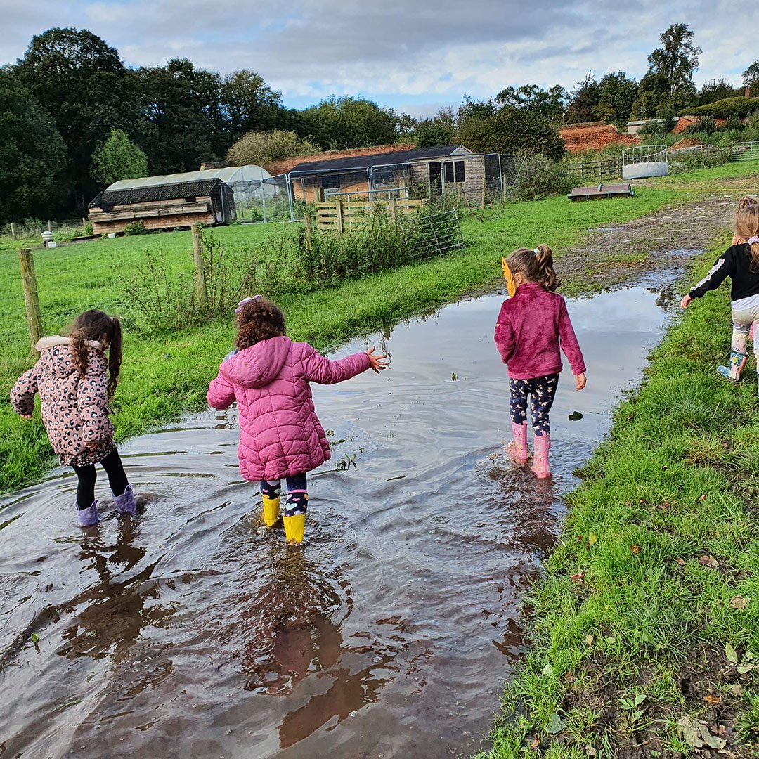childrens-birthday-parties-leeds-swillington-organic-farm-puddle-opt.jpg