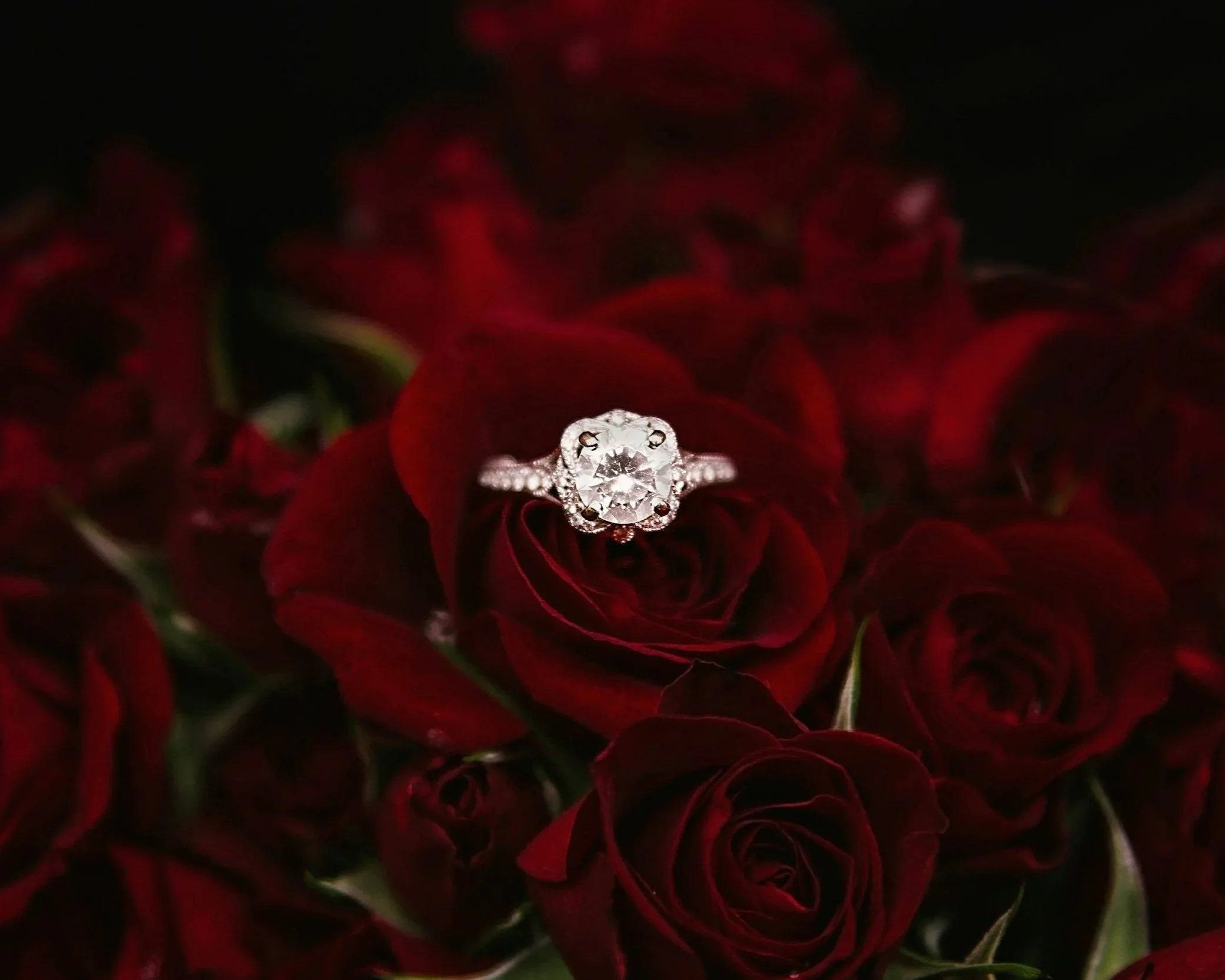 La bague de fiançailles parfaite