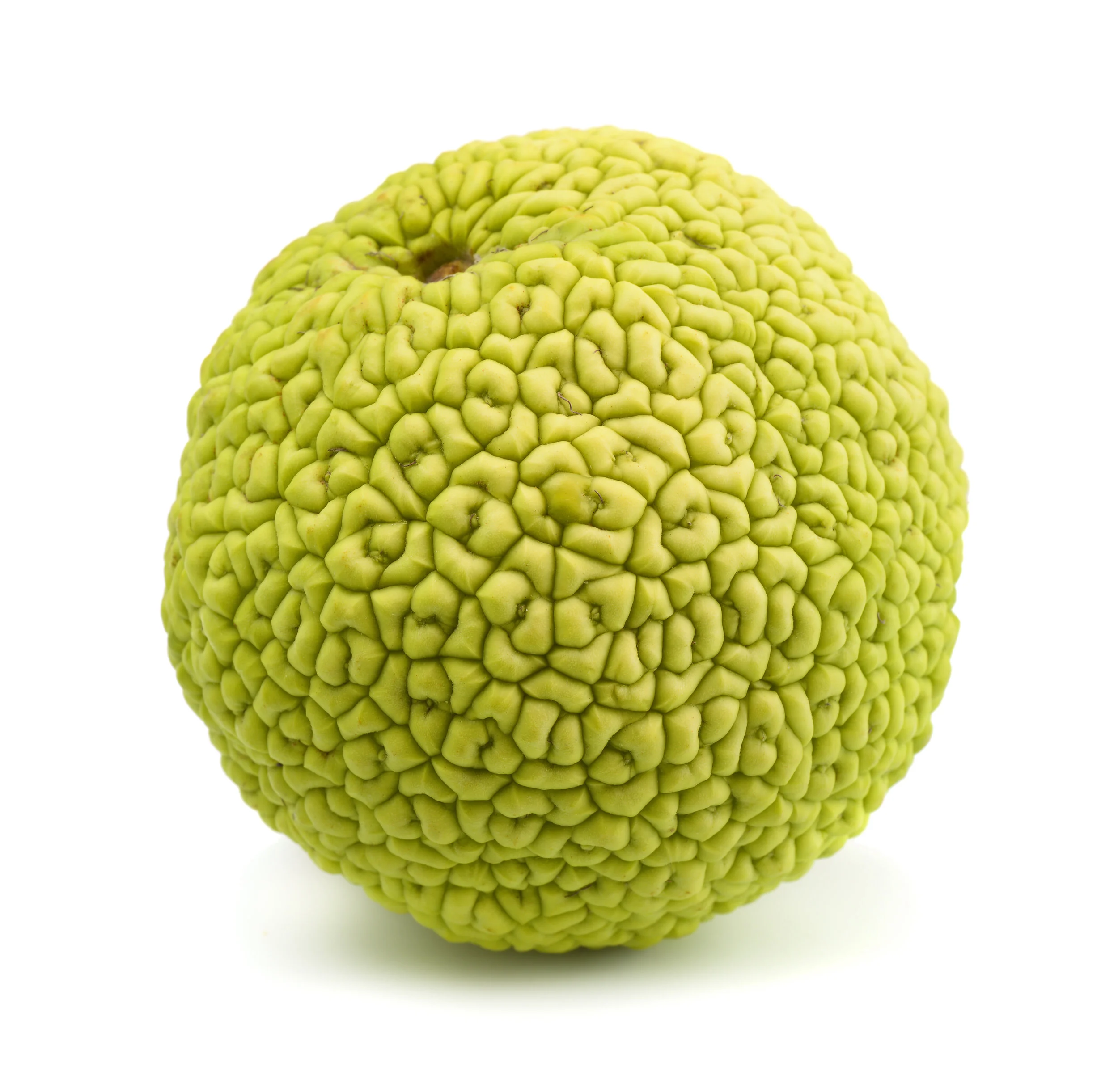 iStock-496519264.jpg
