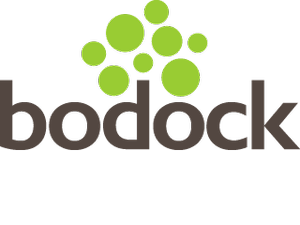 Our Team — Bodock, Inc.