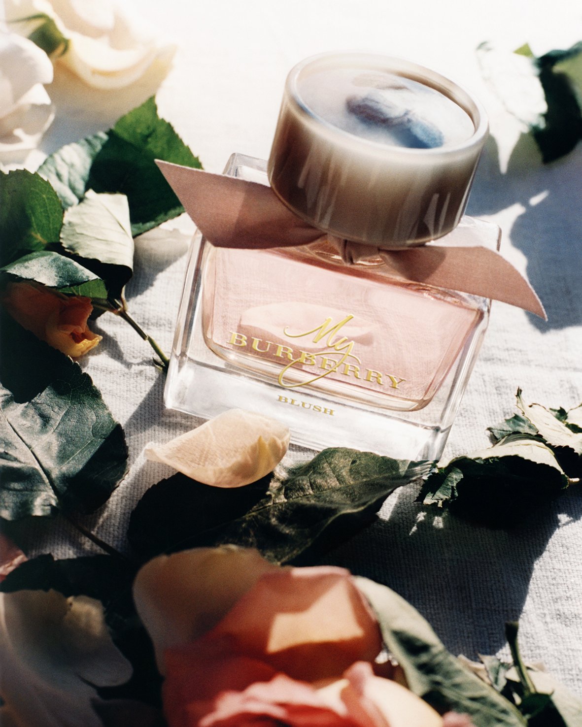 Burberry Blush