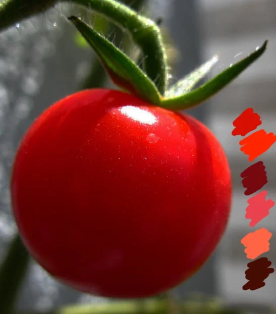 local-color.jpg