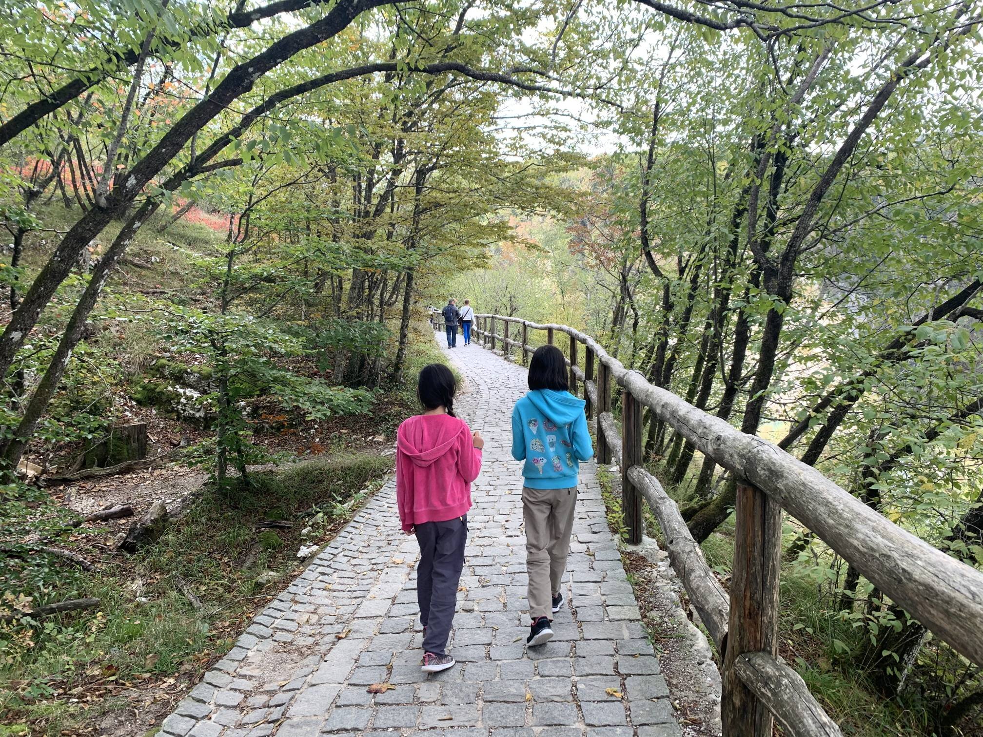 The walking paths are very clearly defined, doesn't really allow for free roaming.