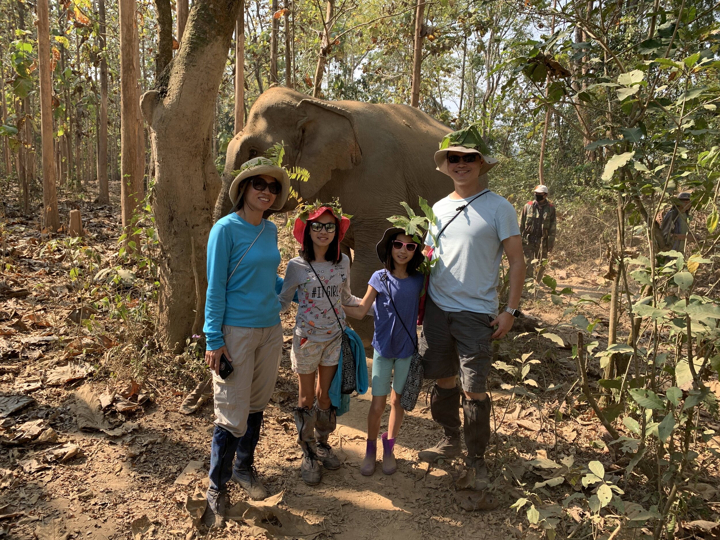We spent a lovely day with these elephants.