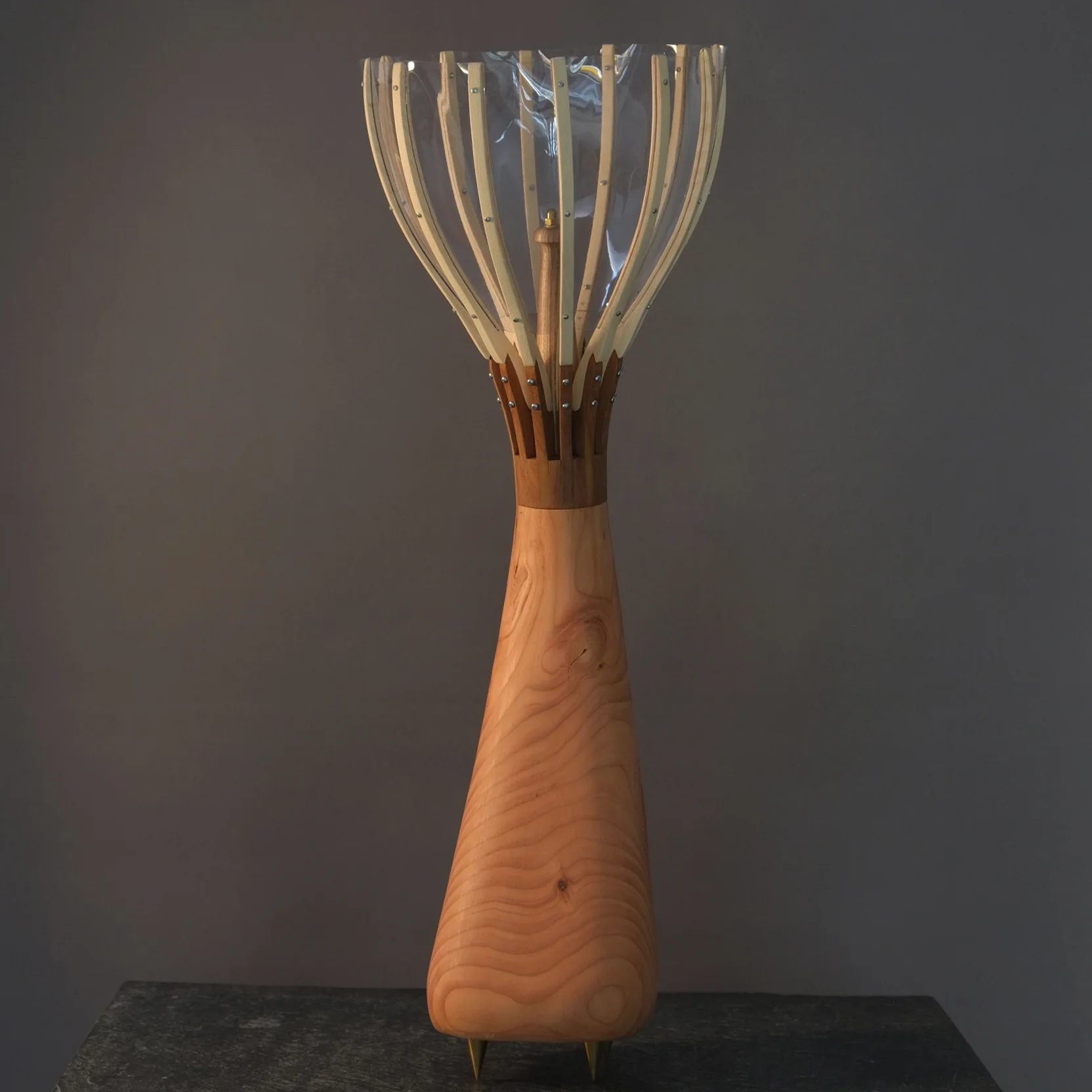 DSCF6251.JPG