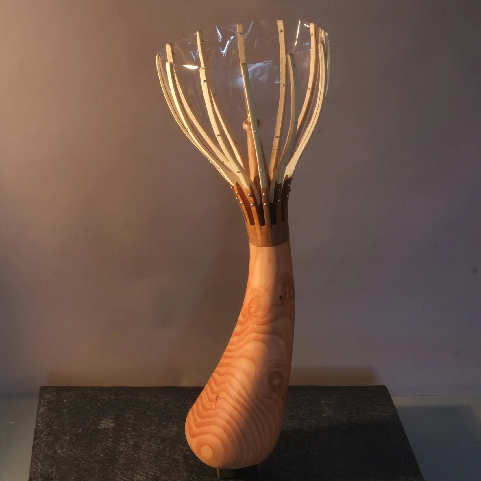 DSCF6284.JPG