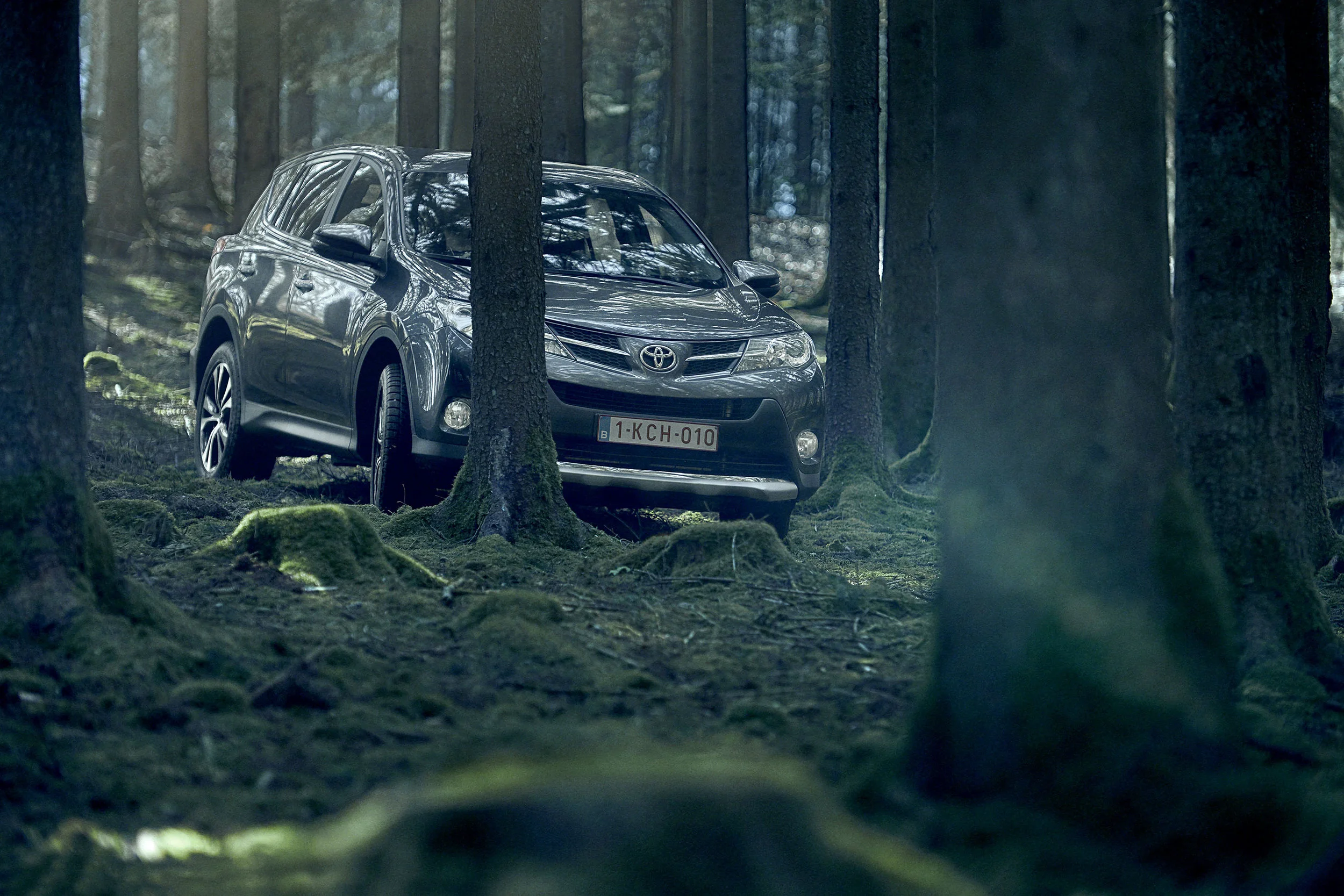 A metallic gray SUV, a Toyota RAV4, parked among trees in a dense forest with moss-covered ground.