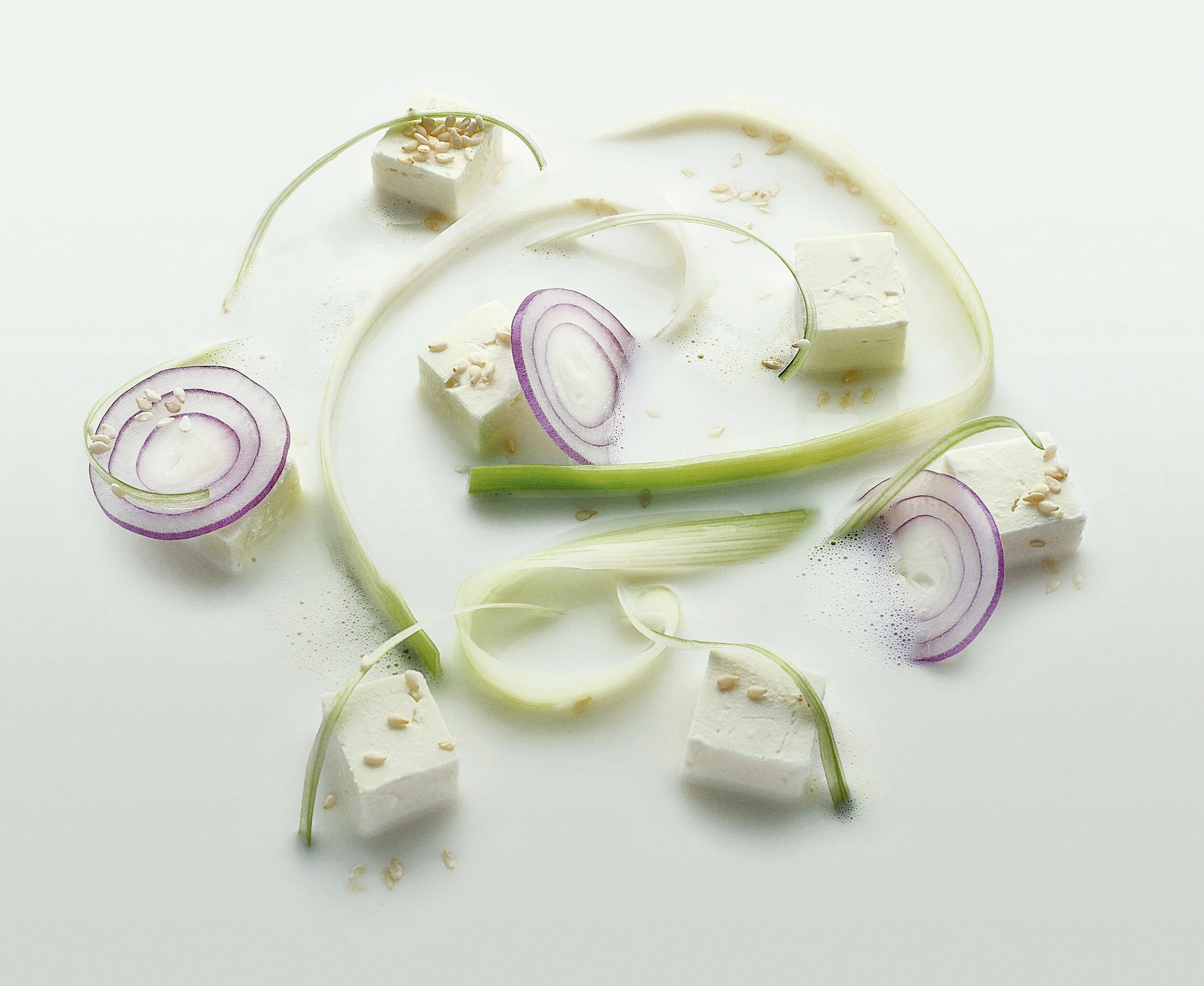 Sliced red onions, tofu cubes, green onion stalks, and sesame seeds in a milky liquid.