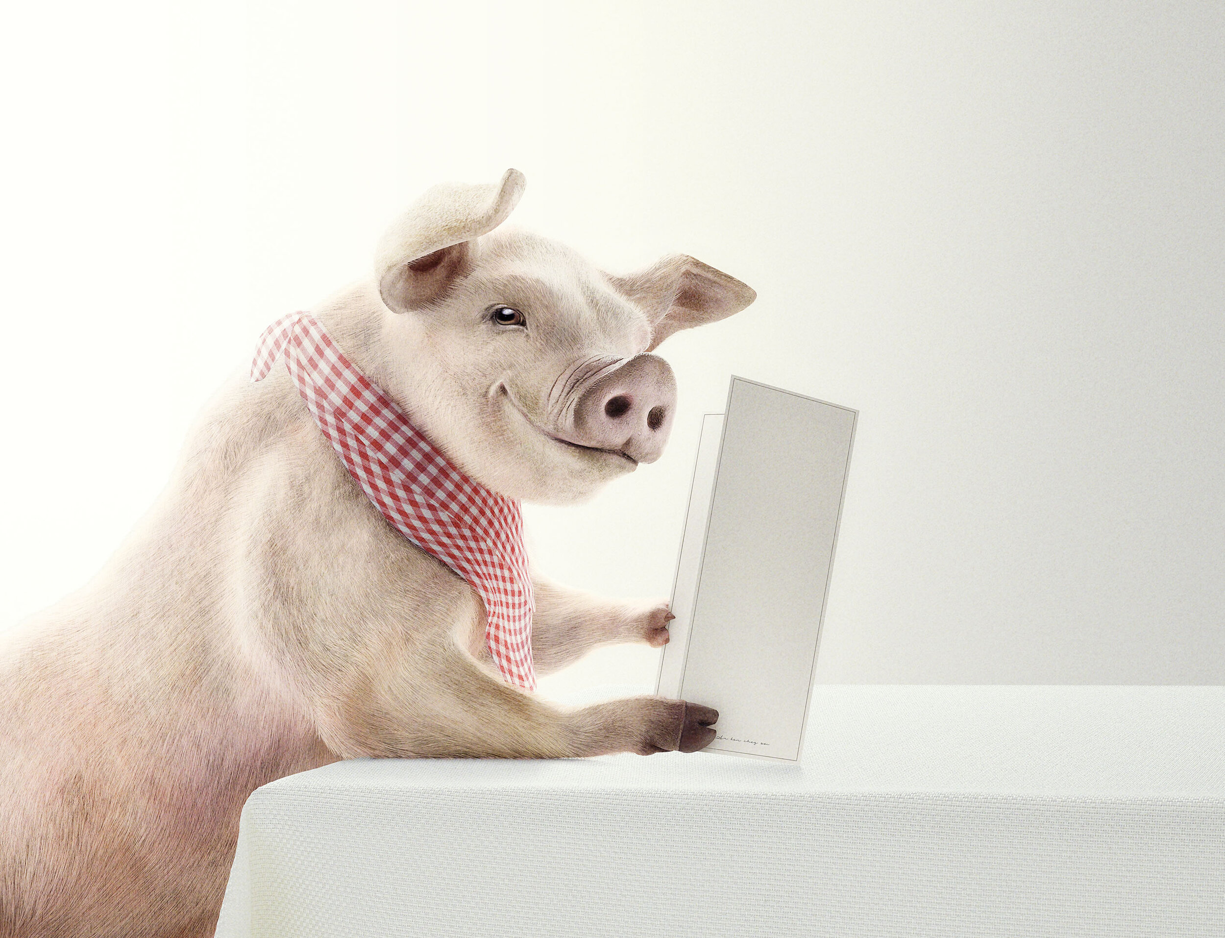 A pig with a red and white checkered scarf, holding a menu in front of a white background.