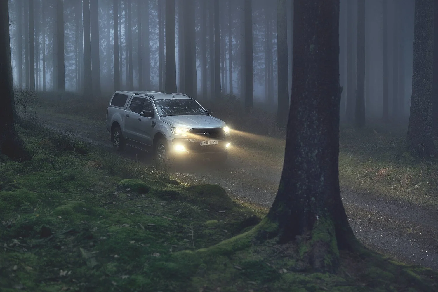 A silver SUV driving on a forest road at night with its headlights and fog lights on, surrounded by tall trees and fog.