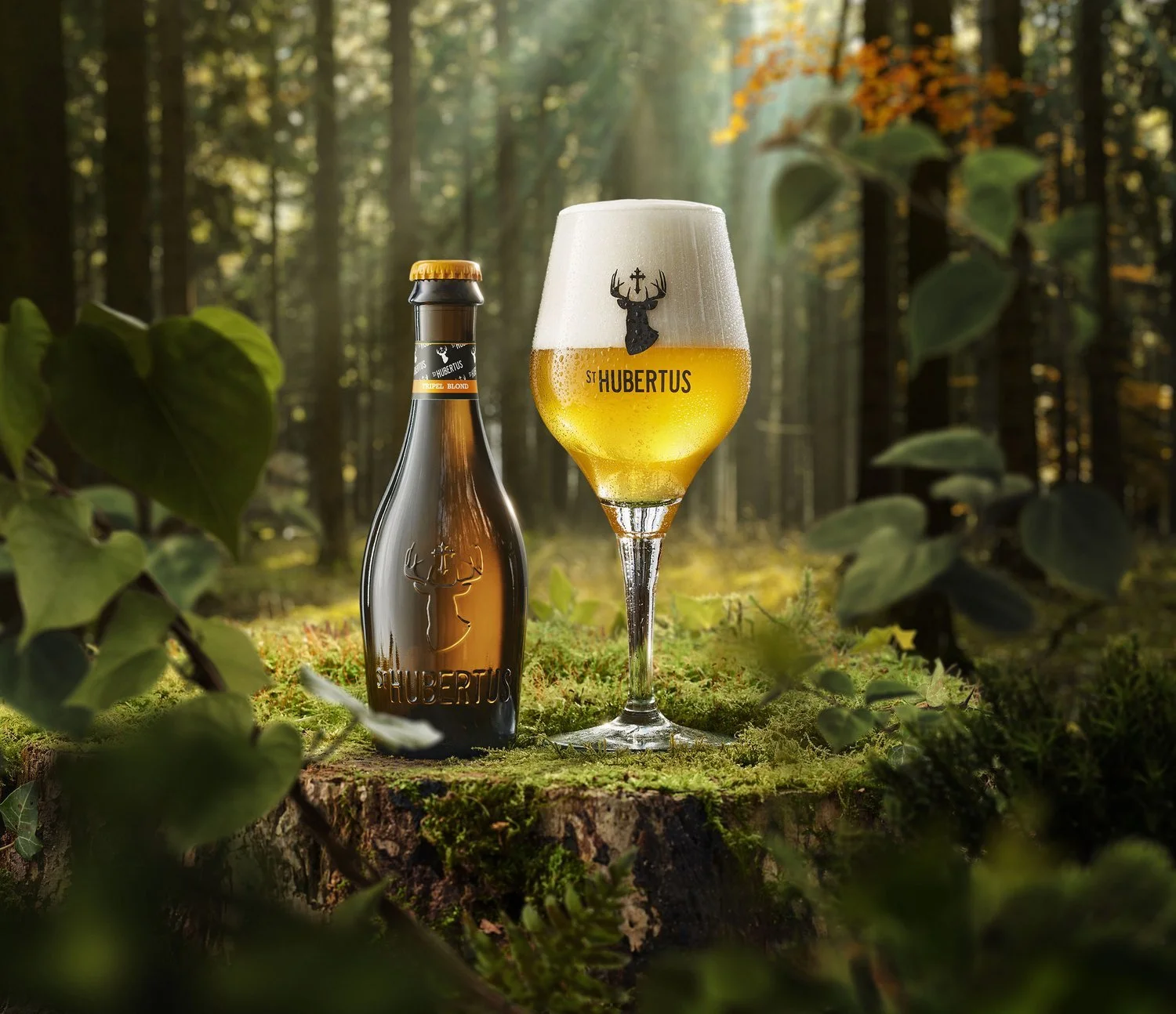 A bottle and a glass of beer with the logo ST HUBERTUS, placed on a mossy tree stump in a forest with sunlight filtering through trees.