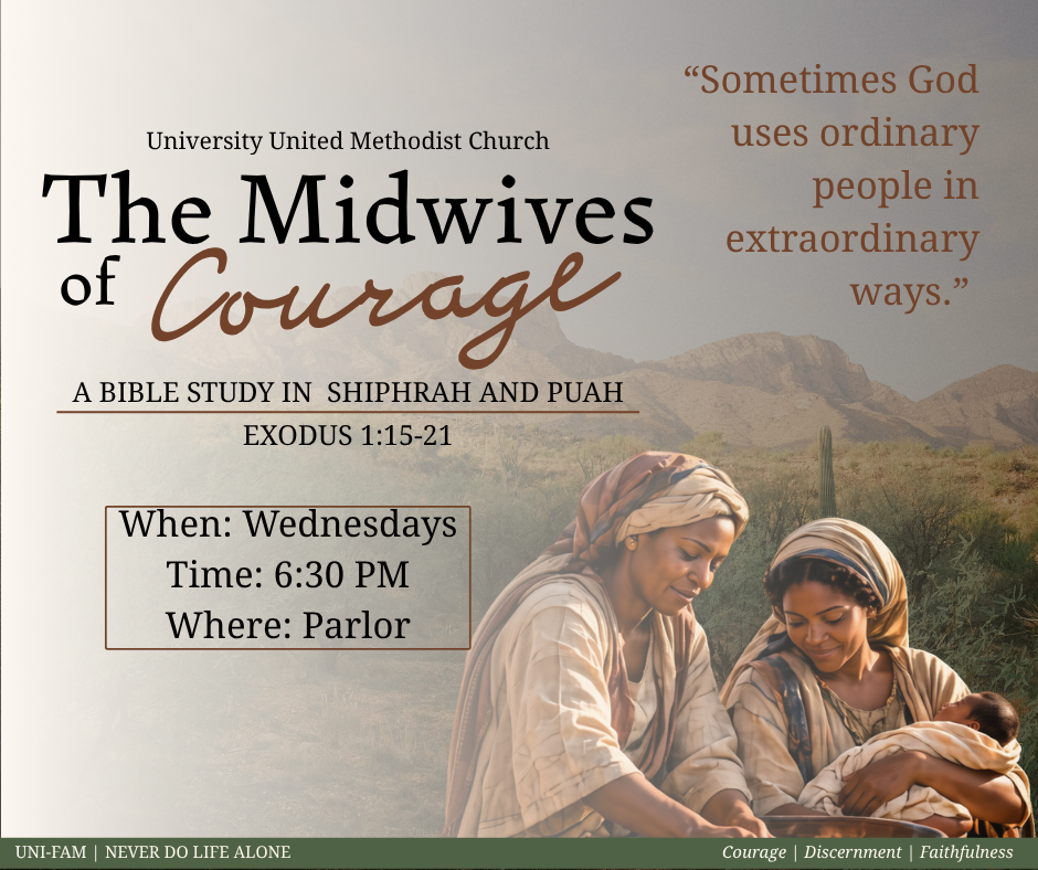Midwives of Courage.png