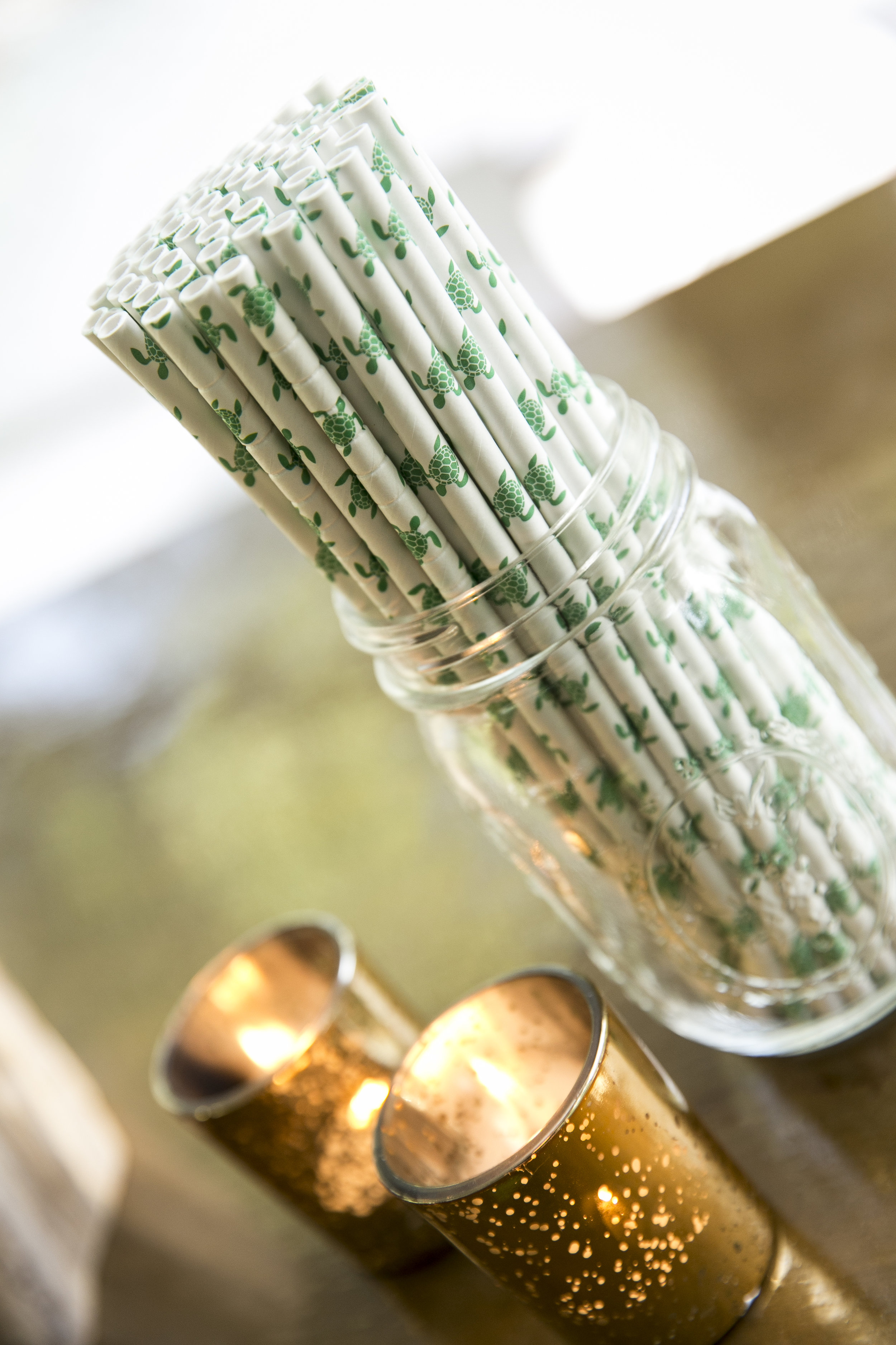 Sea Turtle 7.75 Jumbo.jpg