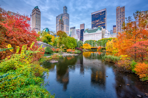 Central Park.jpeg
