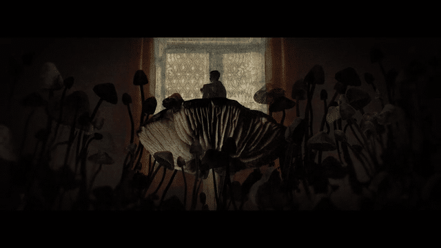 LOVEFRAUD - Mushroom Soup - LOKI FILMS - CUTITOUTXGRIFF