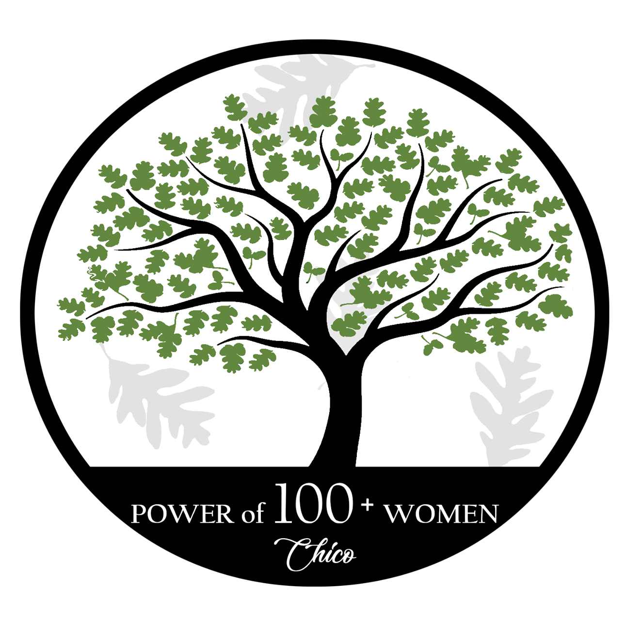 Power of 100 Women Chico