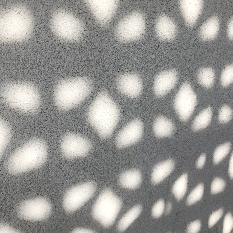 longleaf-hotel-shadows.png
