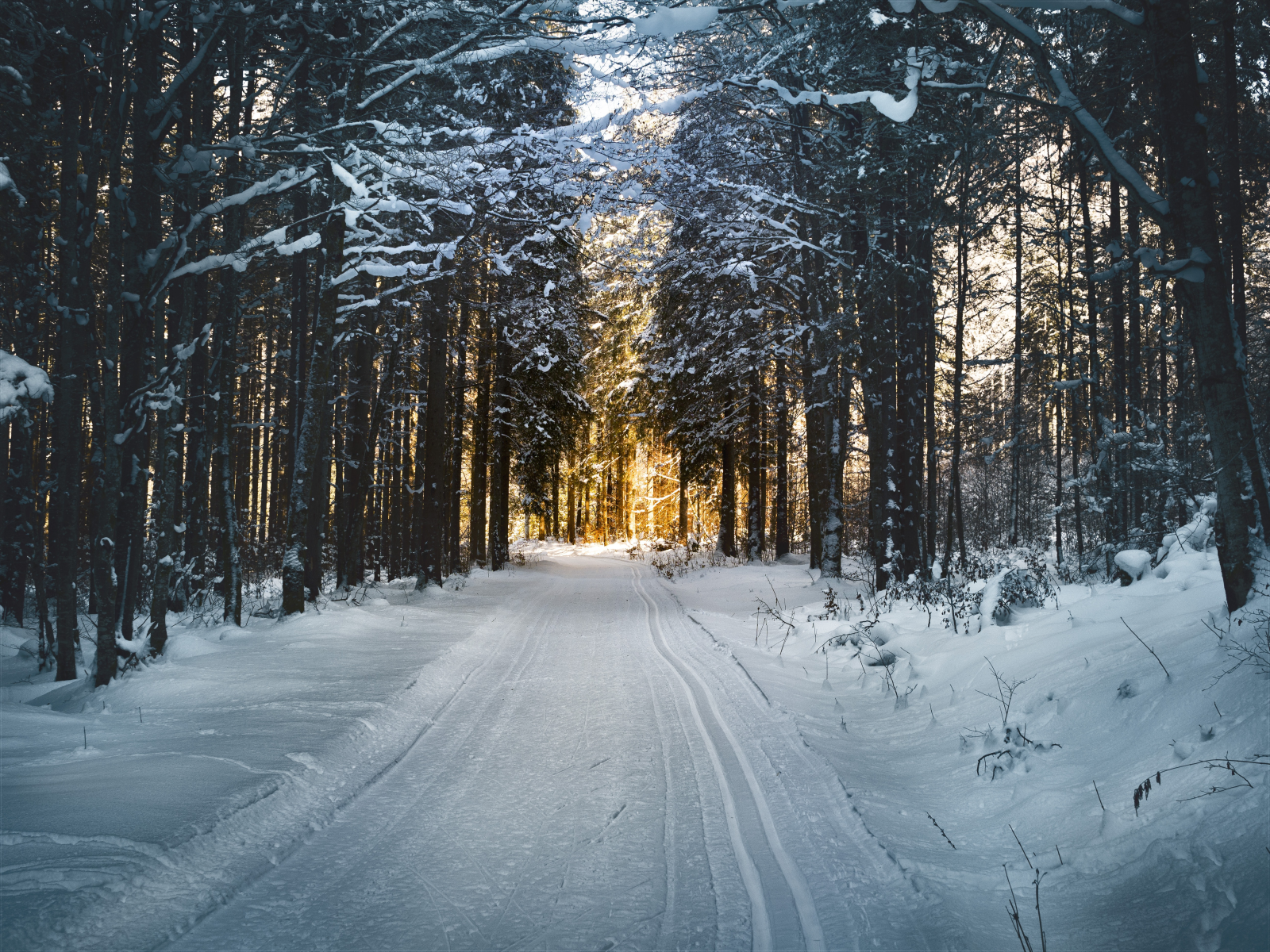 Wie schützt man seine Augen im Winter?