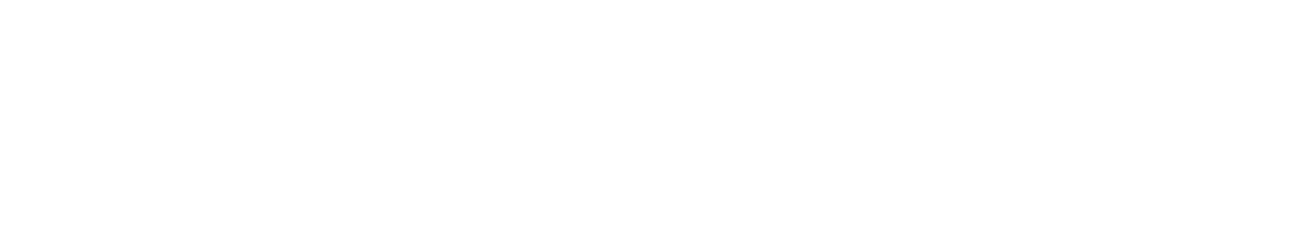 The Verge_logo_Vivid Foundry Solace State.png