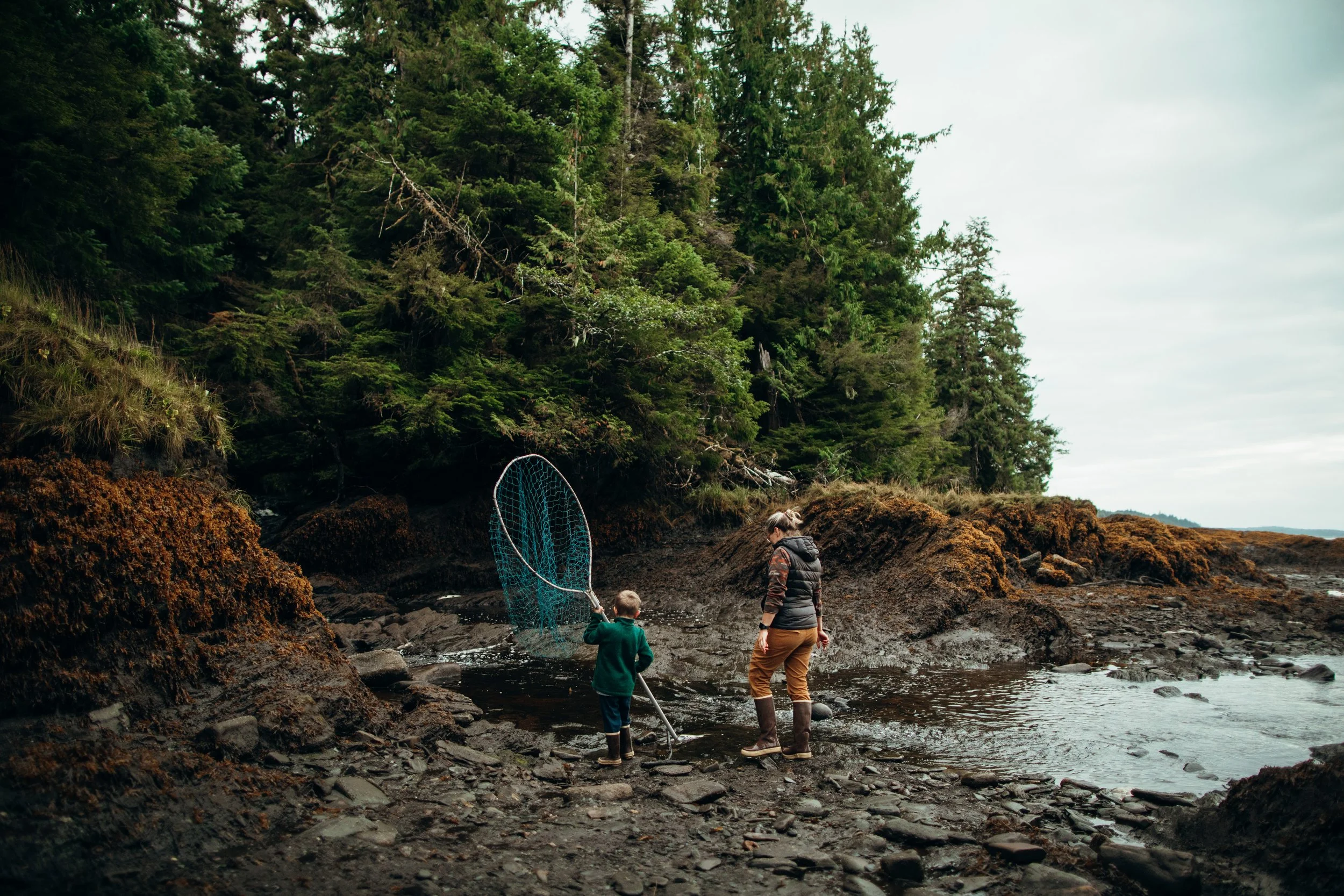 A mom and her young son are walking on a beach with their backs to the camera. The boy is carrying a large fishing net and they are walking near tide pools.