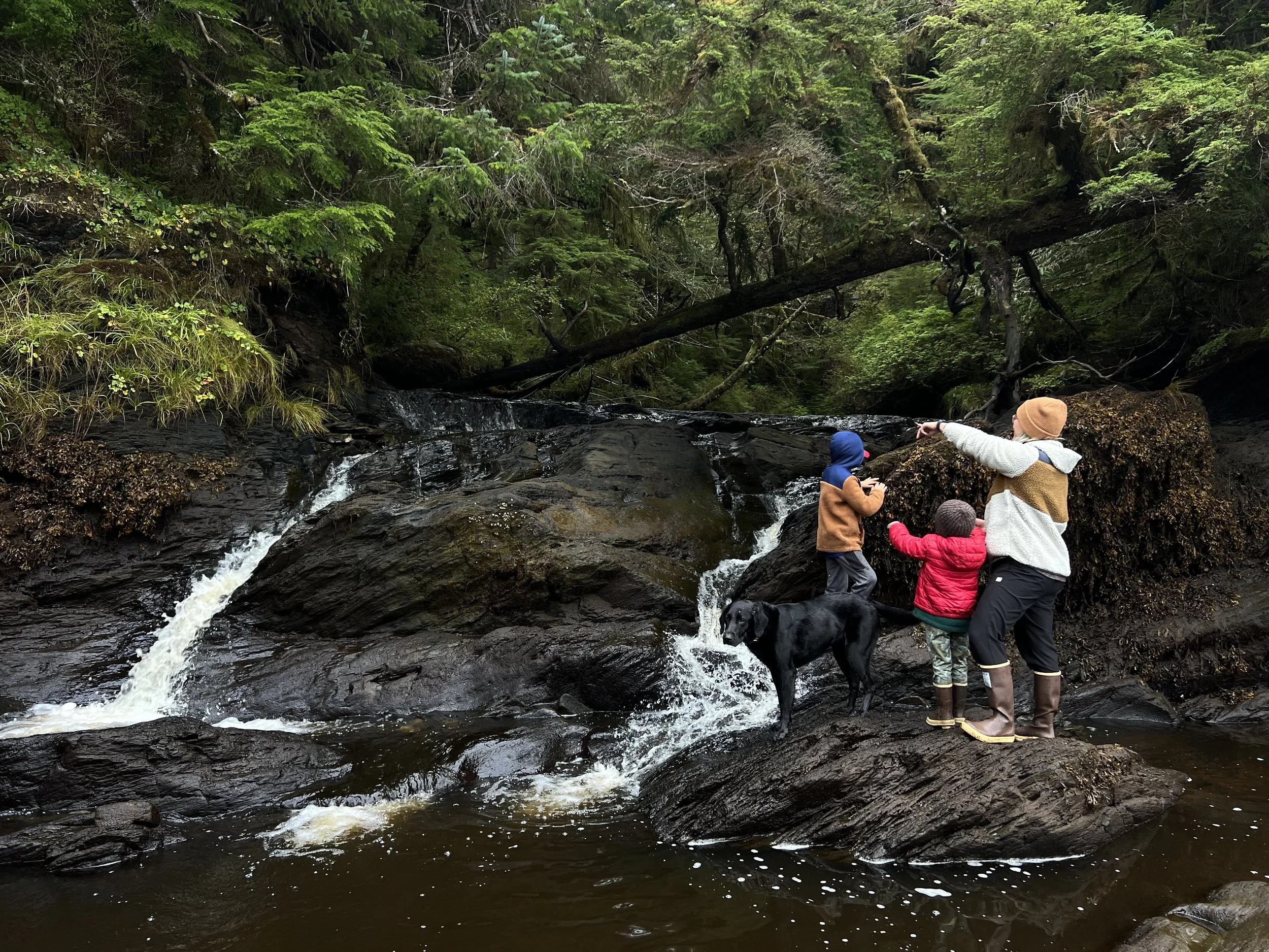 A mom with her two young children and dog are playing on large rocks near a small waterfall. They are dressed warmly and wearing rain boots.