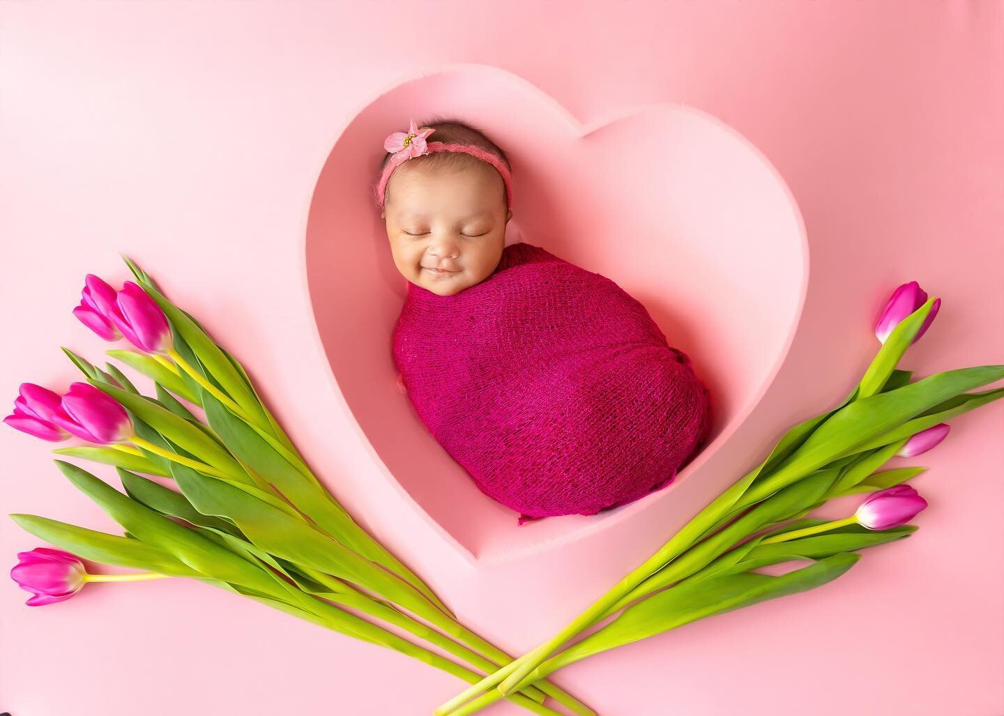 Beautiful garden 🌷🌷🌷 

Newborn Photosession 
Fairfax, Virginia 
www.LinaPics.com 

#fairfaxva #fairfaxvastudio #mosbytower #photographerinfairfaxva #newborngirl #newborn #babygirl #spring #springinfo #inspo #flowerbsckdrop #pinktulip