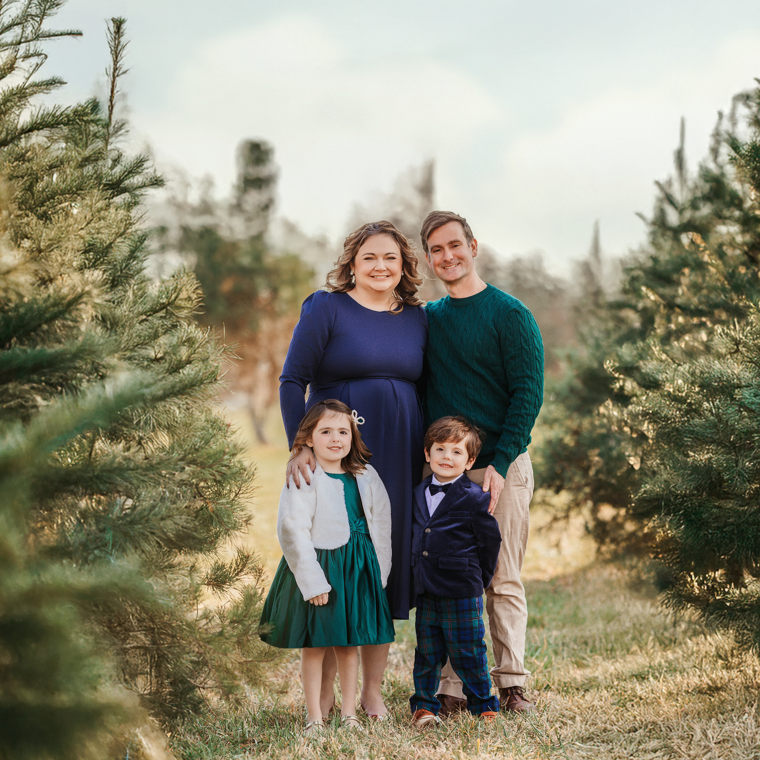 Christmas photos in Round Hill, Virginia. Christmas trees