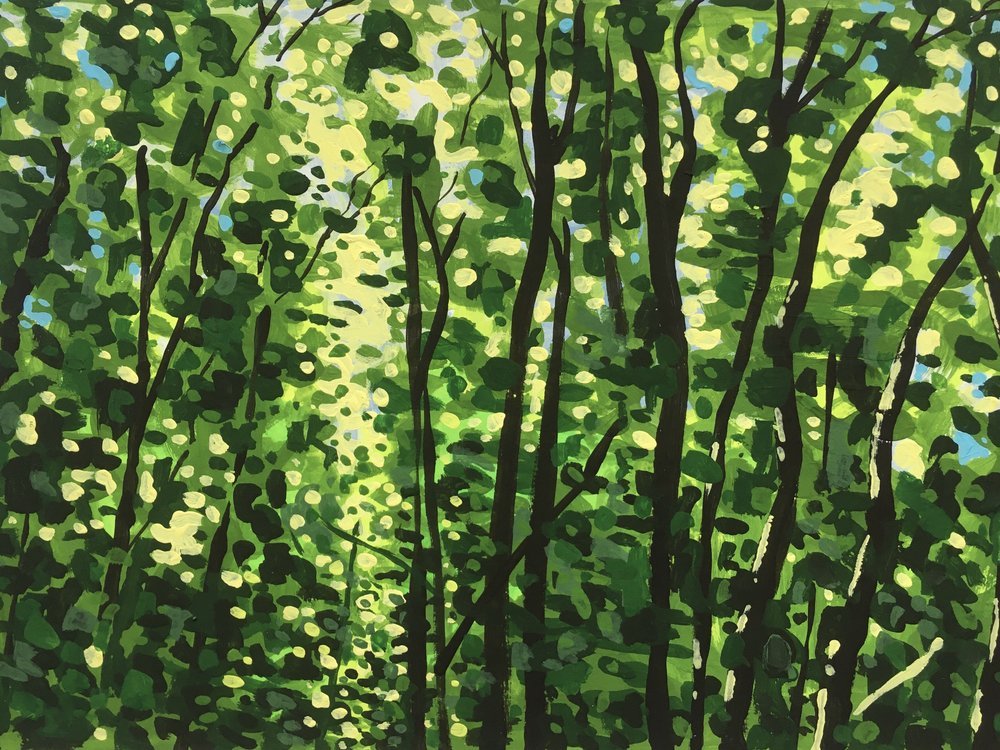 IMG_0462.jpeg