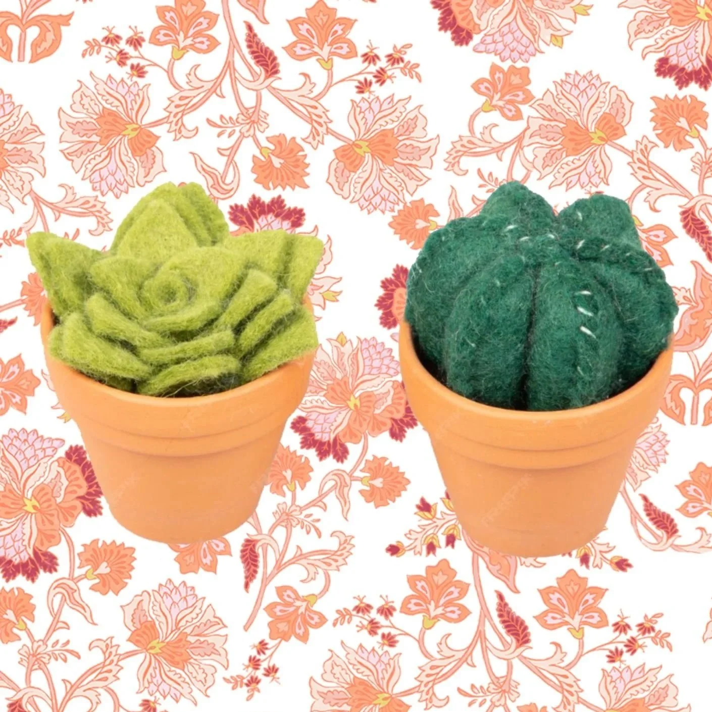 succulents.jpg