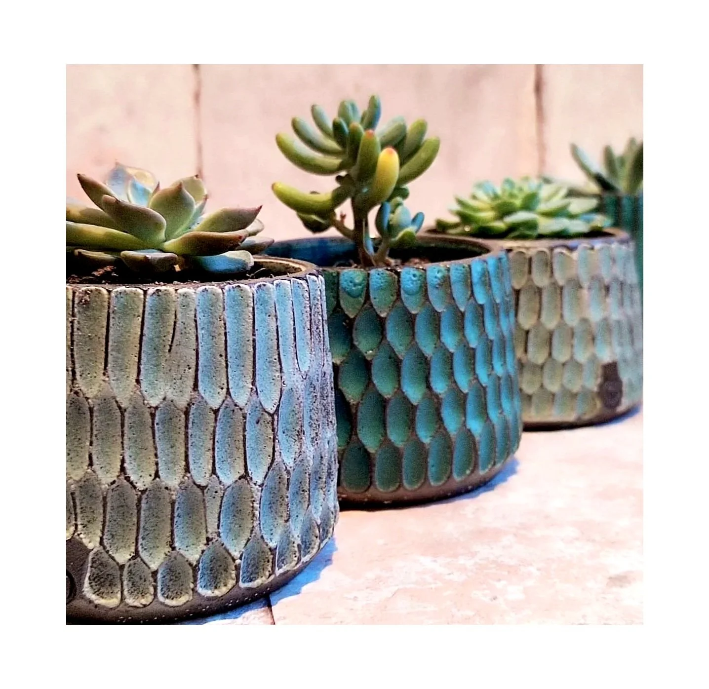 planter+image.jpg