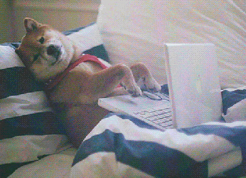 dogemail.gif