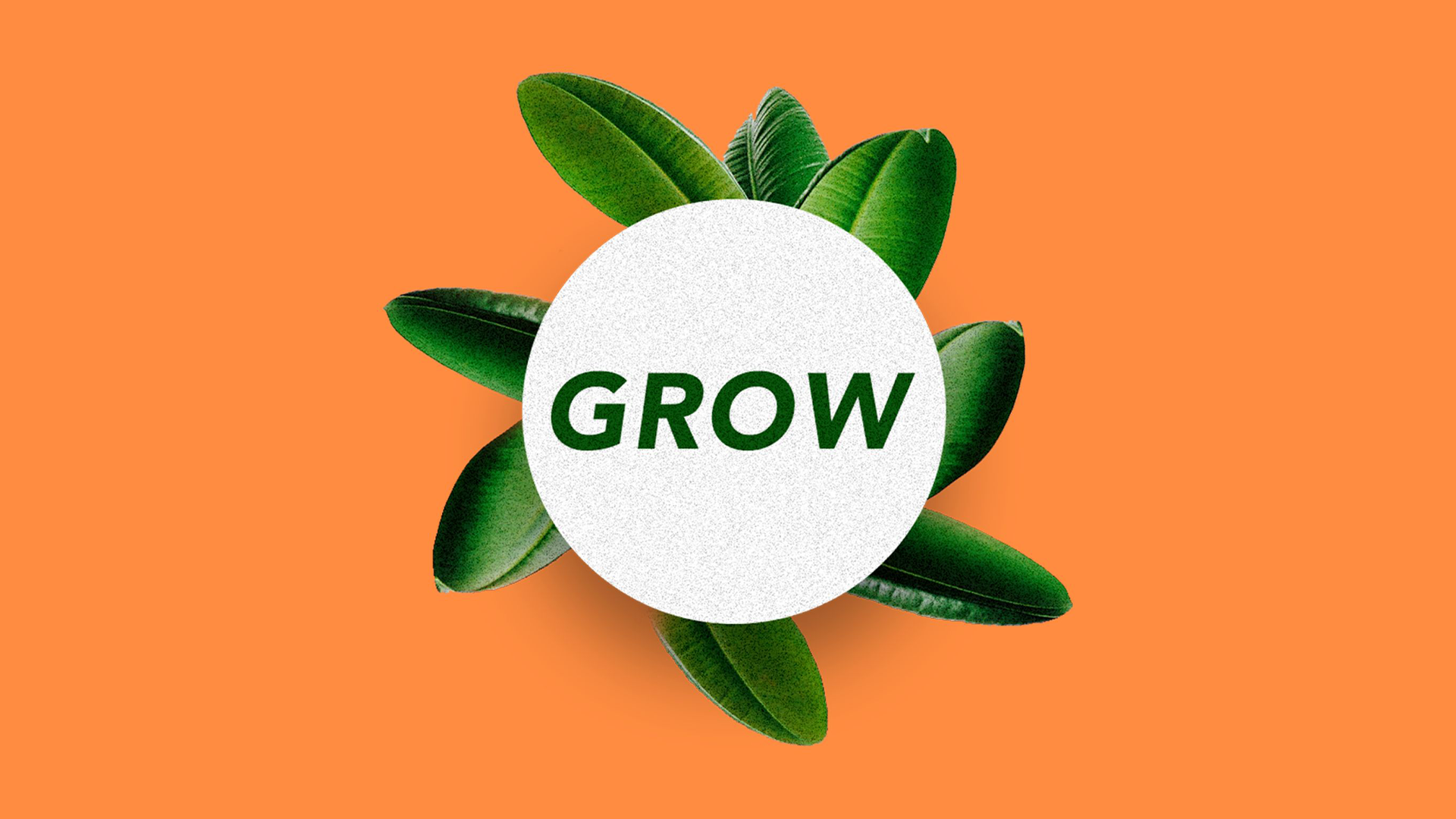 GROW (part 2)