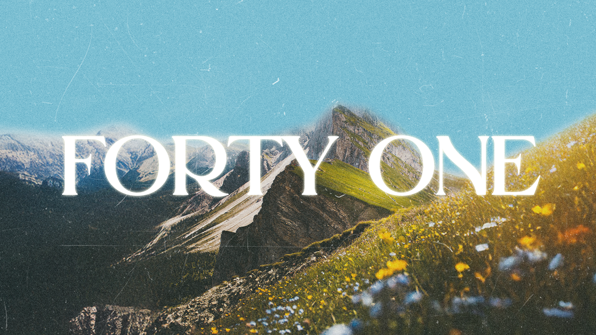 Forty One