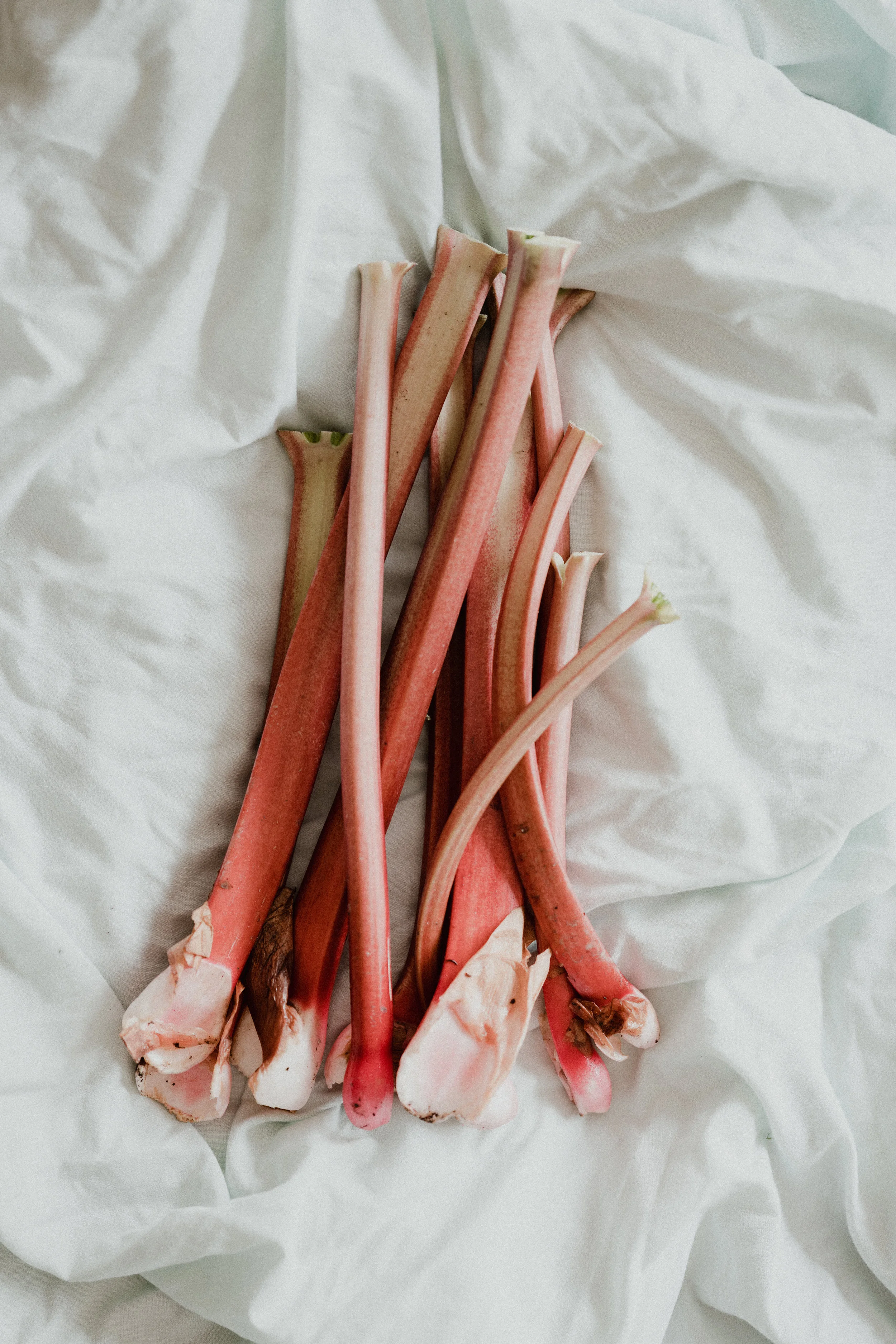 A rhubarb with rhubarb?