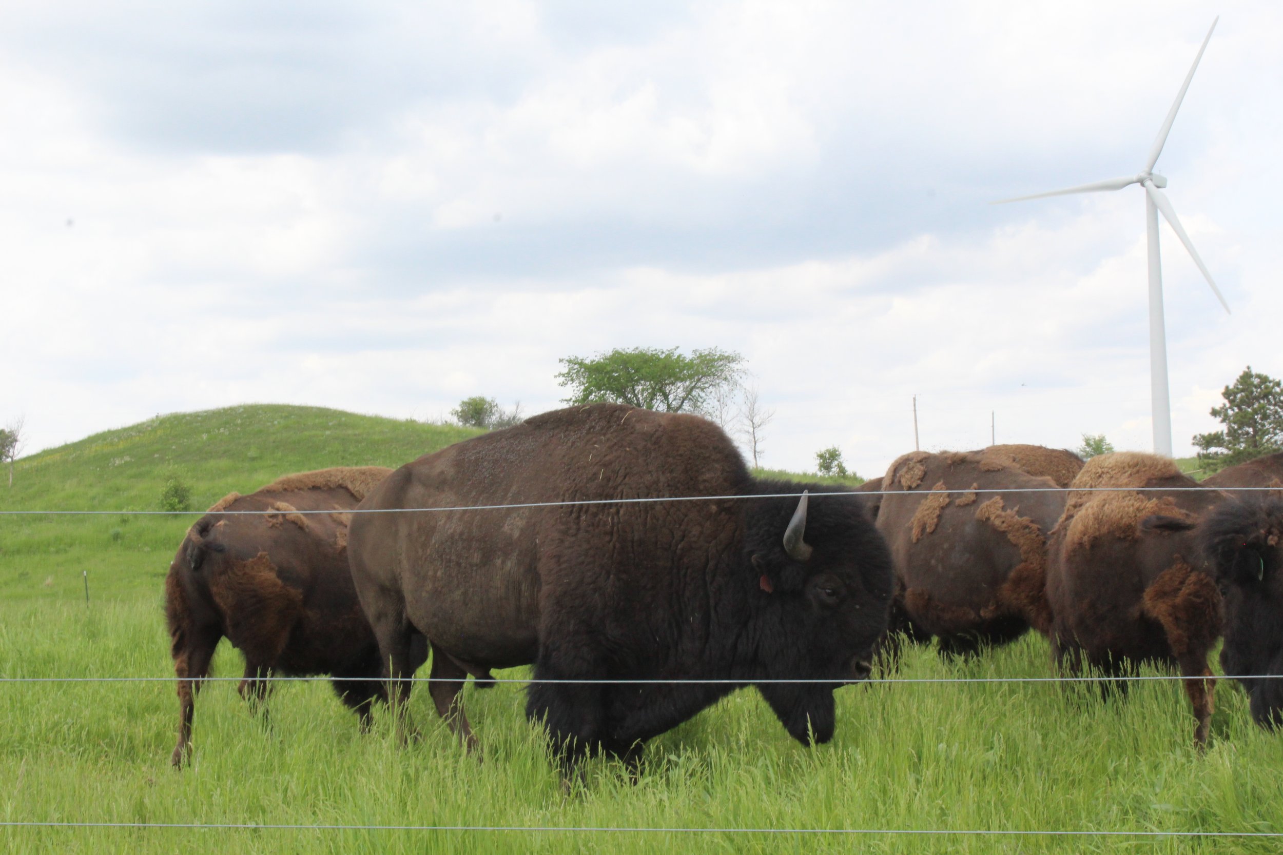 Make It Local Meats For Gifts And Holiday Meals