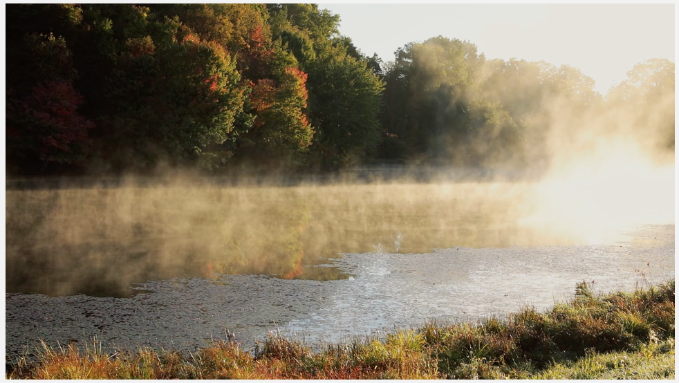 Screen Shot 2019-05-23 at 6.28.41 PM.png