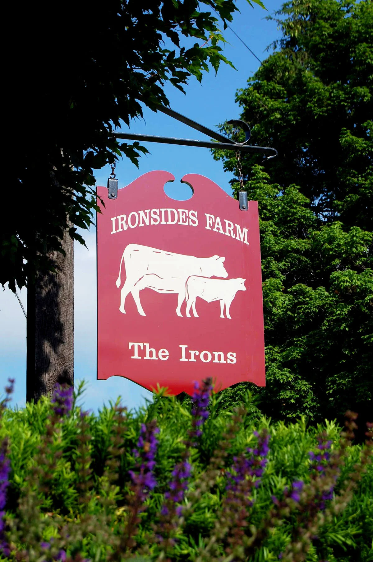 Retirement Auction for Bill Irons, Ironsides Farm