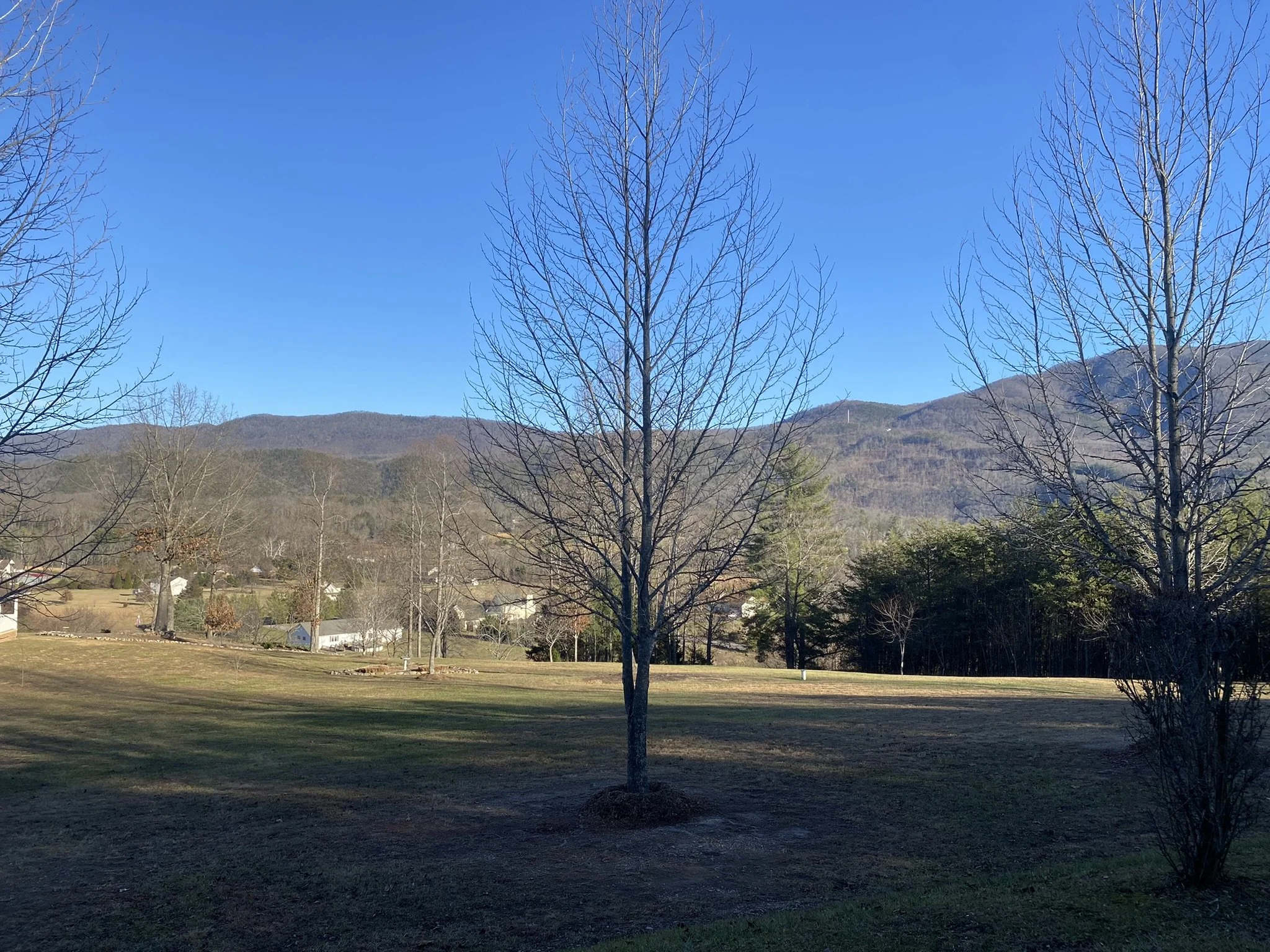 LOTS AT ABSOLUTE AUCTION OVER $10,000!!!