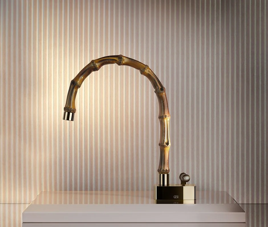 Jacqueline Faucet