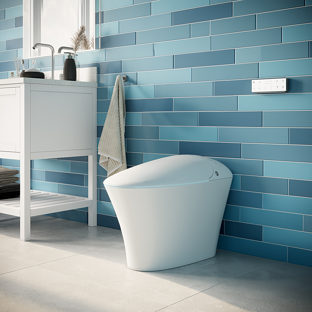 iWASH CS-22 Bidet Toilet